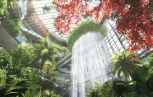 重庆光环购物公园室内植物园“沐光森林”