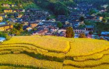 桂峰古村落景区