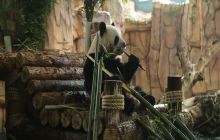 泉州海丝野生动物世界