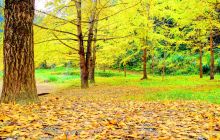 帽子峰旅游景区