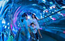 正佳极地海洋世界