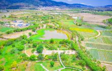 亚龙湾国际玫瑰谷