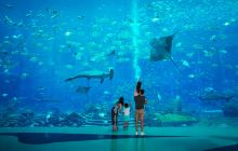 三亚亚特兰蒂斯失落的空间水族馆