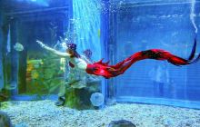 海之语海洋世界