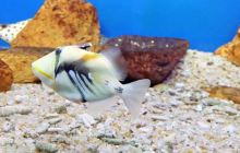 三亚海洋探索世界