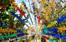 昌黎国际滑沙中心