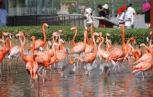 石家庄市动物园