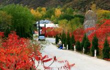 野三坡百草畔景区