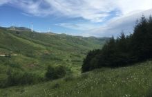 石龙山森林公园