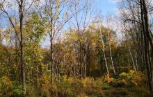 青山国家森林公园