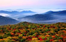 金龙山国家森林公园