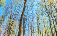 佳木斯市水源山公园