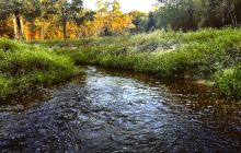 上甘岭溪水国家森林公园