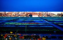 只有河南·戏剧幻城