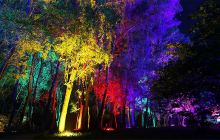 豫西大峡谷风景区