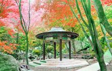 桐柏山淮源风景区