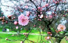 长沙园林生态园