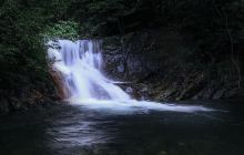 阳明山国家森林公园