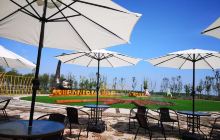 白马湖三岛奇遇记