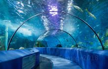 南京海底世界