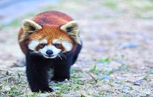 赣州森林动物园