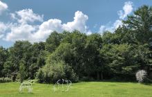 长白山美人松雕塑公园