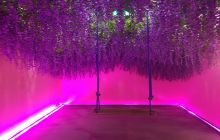 长春恋爱博物馆