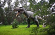 一马树森林公园