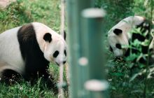 沈阳森林动物园