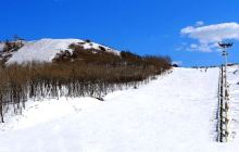 怪坡国际滑雪场