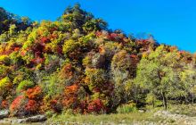 枫林谷森林公园