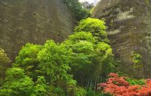 象牙山旅游景区