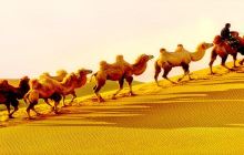 七星湖沙漠生态旅游区