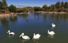 鄂尔多斯野生动物园