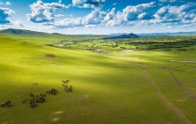 呼伦贝尔大草原