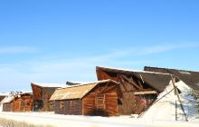 敖鲁古雅使鹿部落景区