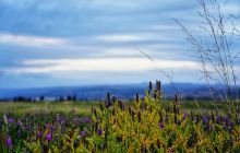 敕勒川草原文化旅游区
