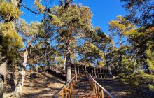 海拉尔国家森林公园