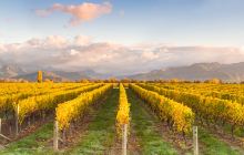 志辉源石葡萄酒庄