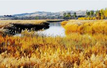 黄沙古渡原生态旅游区