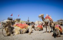 镇北堡西部影城