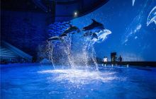 济南融创海世界