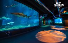 上海长风海洋世界