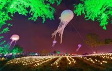 上海薰衣草公园