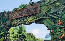 上海大自然野生昆虫馆