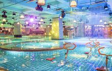 上引生活水世界