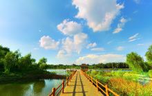 山西孝河国家湿地公园