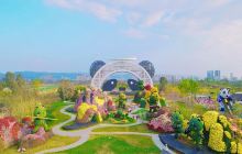 龙泉驿欢乐田园