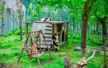 卧龙中华大熊猫苑神树坪基地