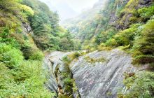 朱雀国家森林公园